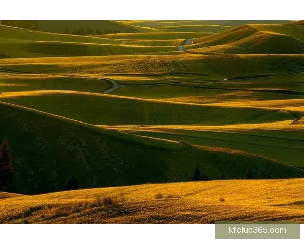 世界杯胜负预测深度解析与球队实力对比全面指南 世界杯胜负预测深度解析与球队实力对比全面指南
