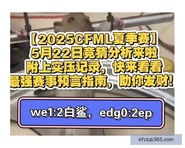 最全面体育竞猜平台攻略与赛事分析推荐指南